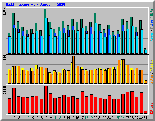 Daily usage for January 2025