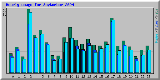 Hourly usage for September 2024