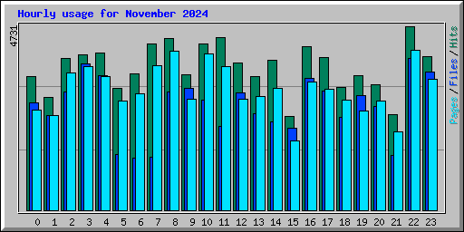 Hourly usage for November 2024