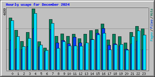 Hourly usage for December 2024
