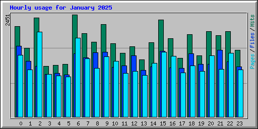 Hourly usage for January 2025