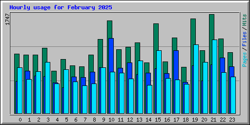 Hourly usage for February 2025