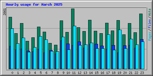Hourly usage for March 2025