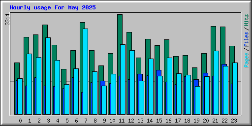 Hourly usage for May 2025