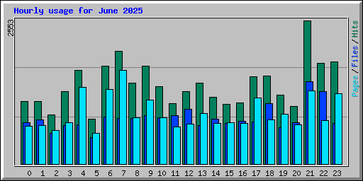 Hourly usage for June 2025