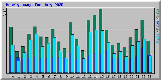 Hourly usage for July 2025