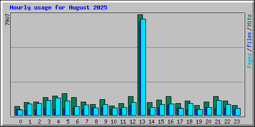 Hourly usage for August 2025