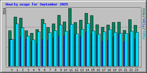Hourly usage for September 2025