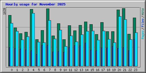 Hourly usage for November 2025