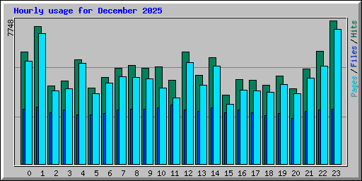 Hourly usage for December 2025